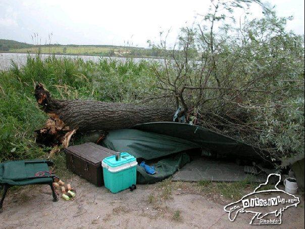 diverse - 40303140272370513051018839213n1.jpg